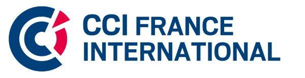 Logo CCI France International